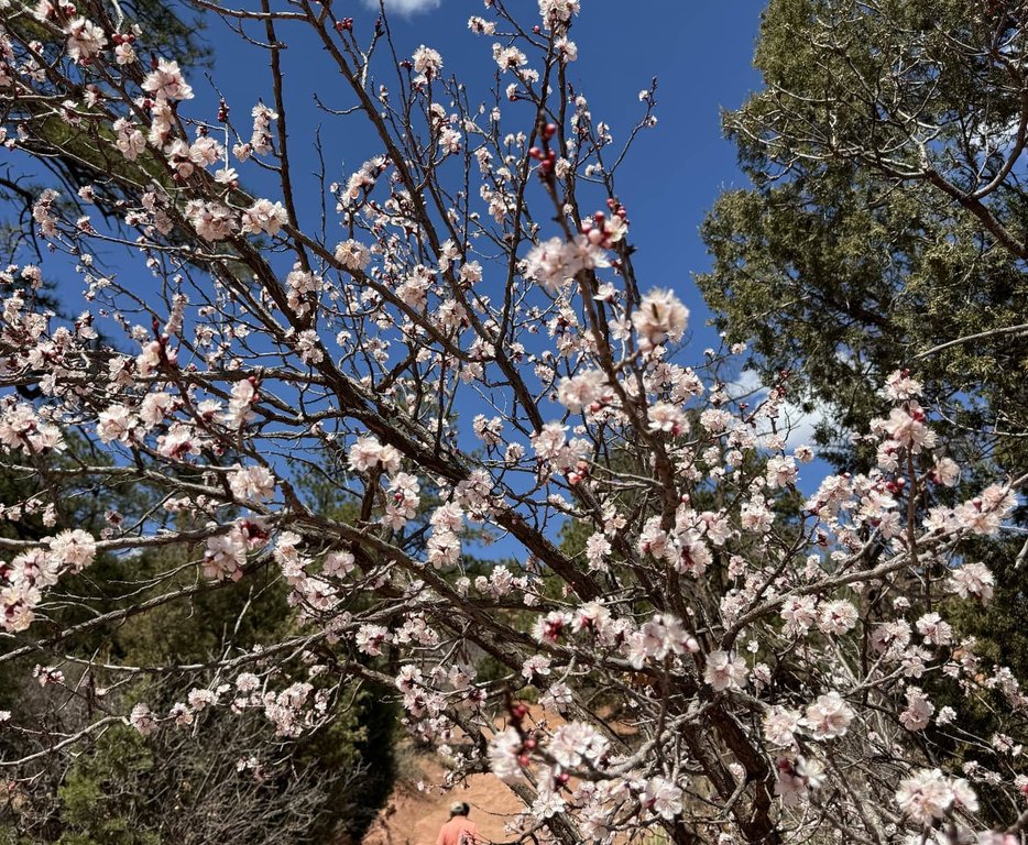 Garden of the Gods