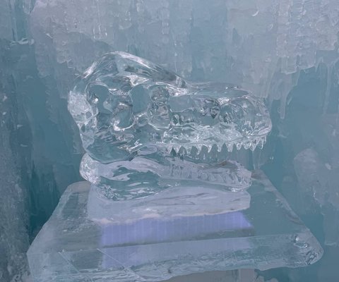 Ice Castle
